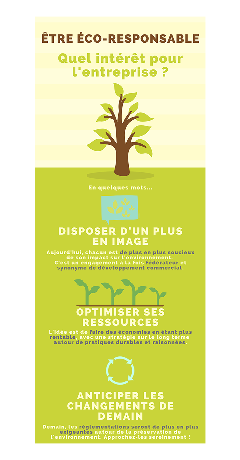 Infographie - entreprise éco-responsable (avec fond - V3)